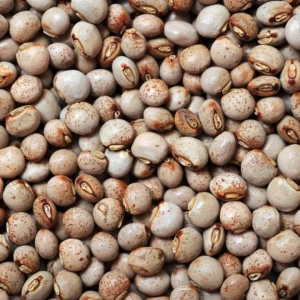 Pigeon-peas - Tvasc Group