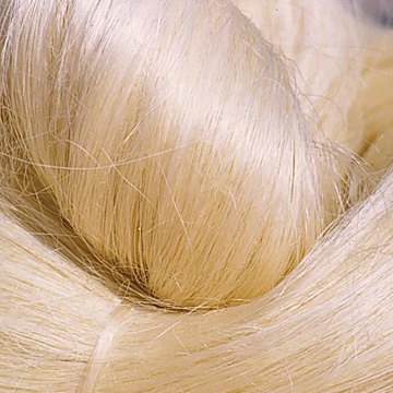 Sisal Fiber