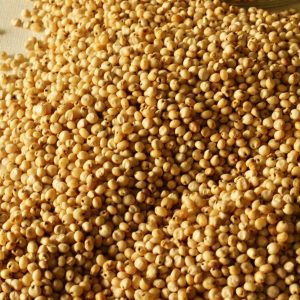 sorghum-millet - Tvasc Group
