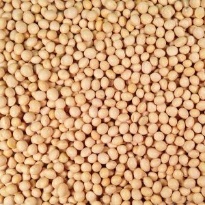 soybeans - Tvasc Group